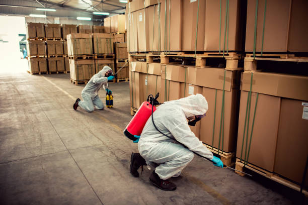 Best Termite Control Services  in Beebe, AR