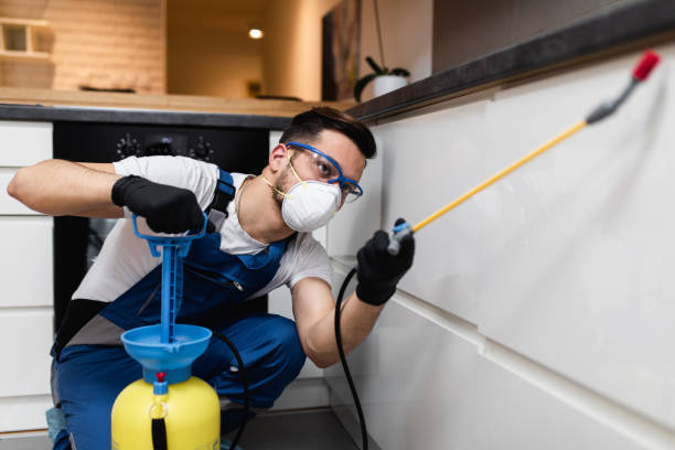Pest Control for Restaurants in Beebe, AR