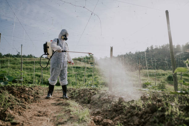 Best Affordable Pest Control Services  in Beebe, AR