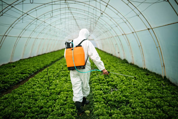 Best Commercial Pest Control Services  in Beebe, AR