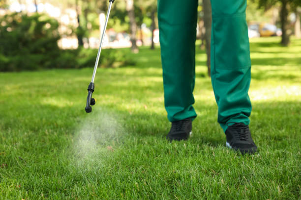 Best Affordable Pest Control Services  in Beebe, AR