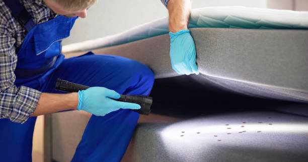 Best Best Pest Control Companies  in Beebe, AR