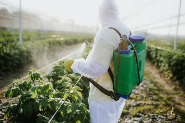 Best Bed Bug Extermination  in Beebe, AR